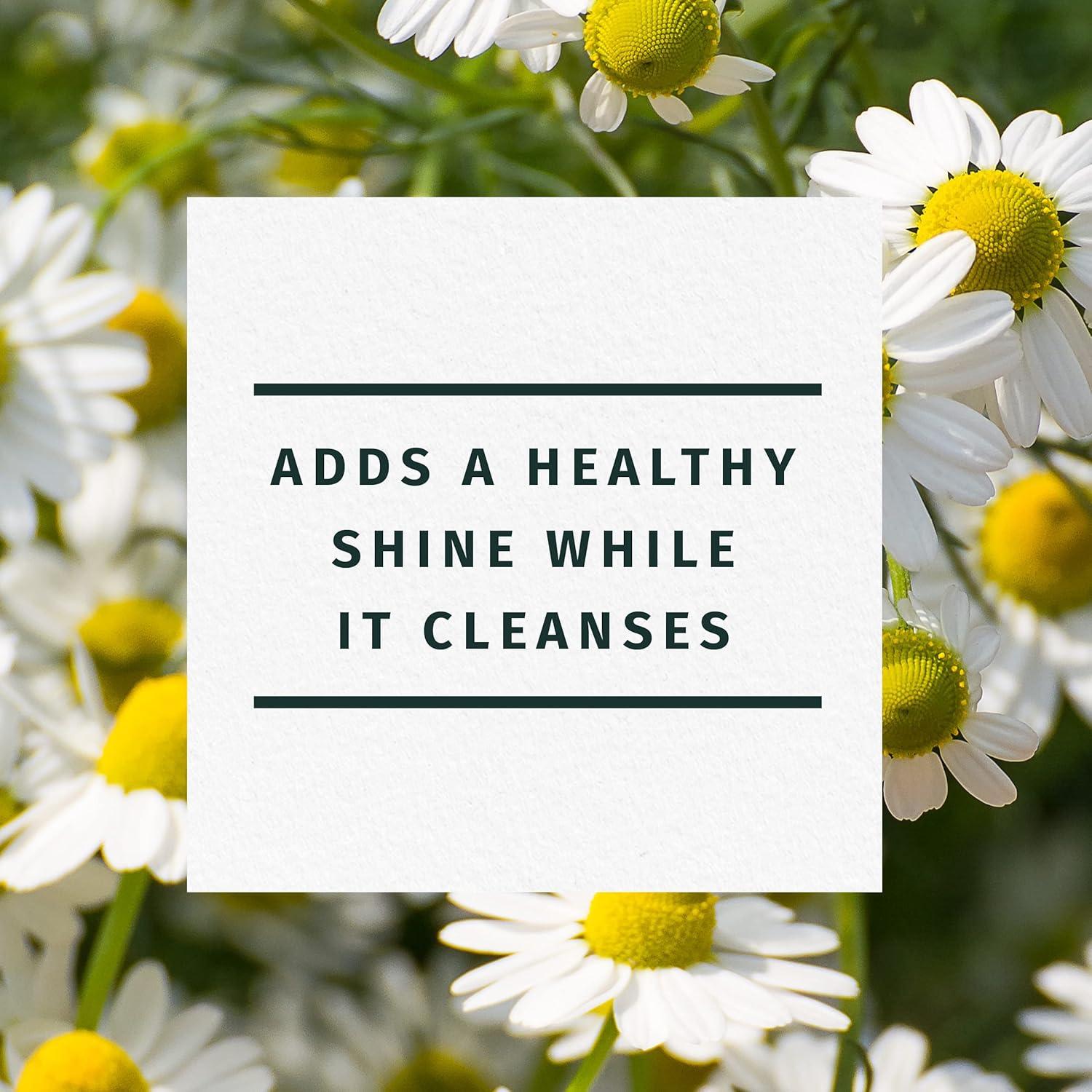 image:imageHerbal Essences Shine Collection Shampoo292 Fl Oz Pack of 2