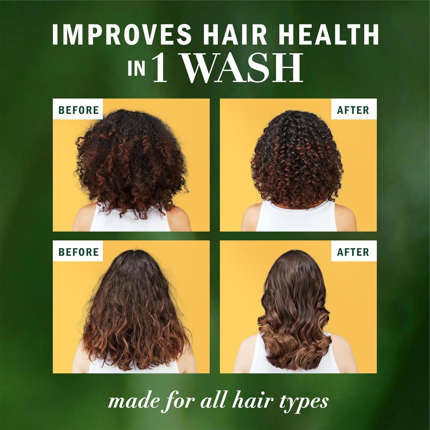 image:imageHerbal Essences Sulfate Free Shampoo with Honey for Daily Moisture Nourishes Dry Hair Moisturizing Shampoo with Certified Camellia Oil and Aloe Vera Lightweight For All Hair Types 338ozHoney Conditioner
