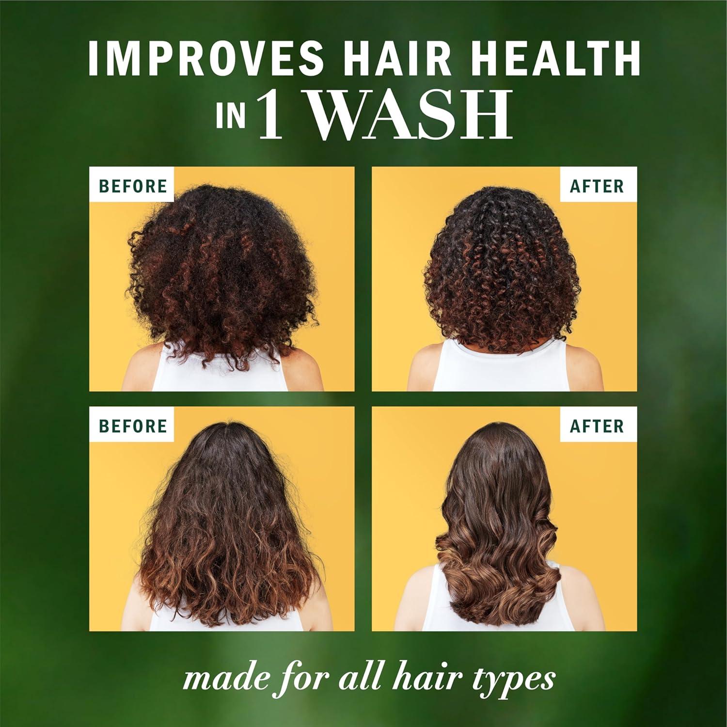 image:imageHerbal Essences Sulfate Free Shampoo with Honey for Daily Moisture Nourishes Dry Hair Moisturizing Shampoo with Certified Camellia Oil and Aloe Vera Lightweight For All Hair Types 338ozHoney Shampoo